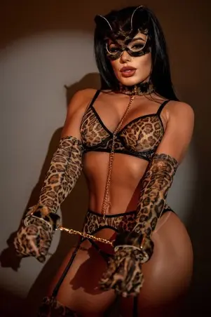 2 Piece jaguar Chain And Leash Set