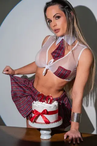 Secret of a Schoolgirl Lingerie Costume